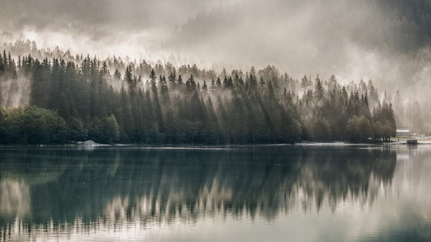 Misty pine forest reflected in a quiet mountain lake