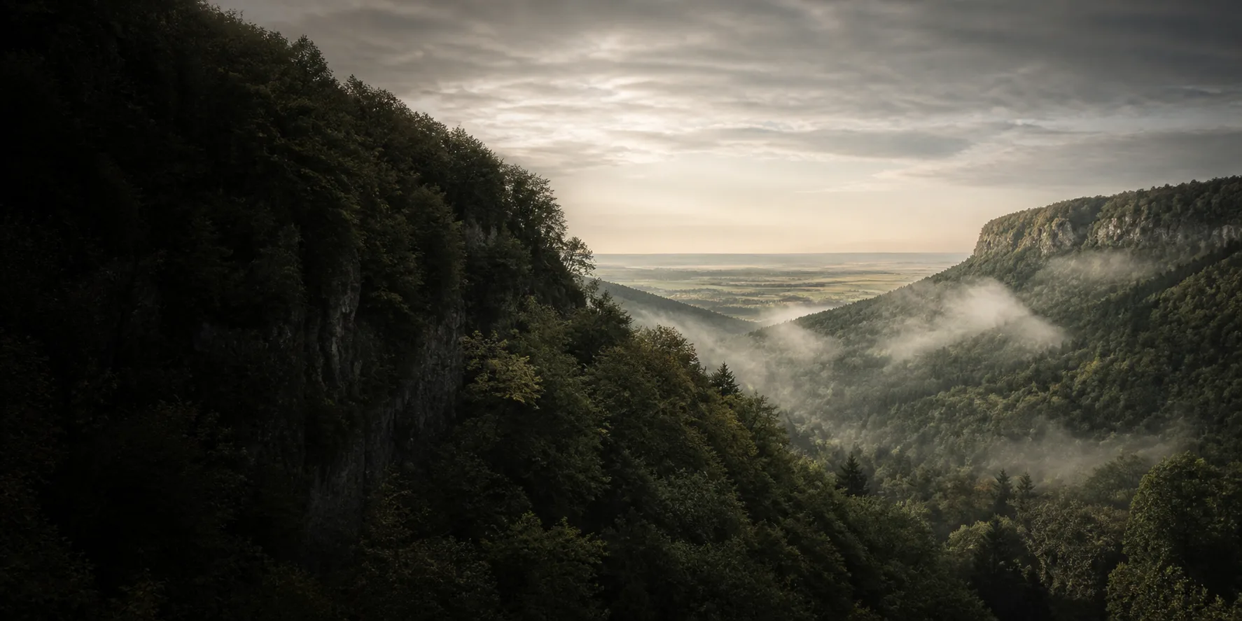A forested valley opening toward a distant horizon